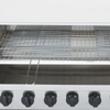 Gas Infrared Ssalamander(BGT-20)