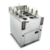 Electric Lift Pasta Cooker（BEH-350D）