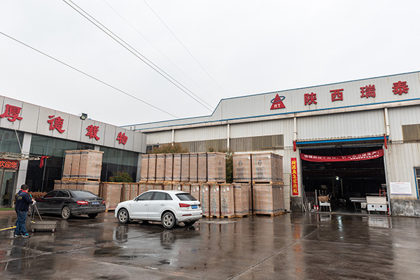Shaanxi Ruitai Kitchen Industry Co., Ltd. Introduces Innovative Steaming Cabinet, Leading the Development of Commercial Kitchen Equipment Industry